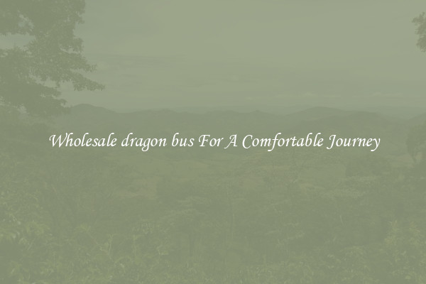 Wholesale dragon bus For A Comfortable Journey