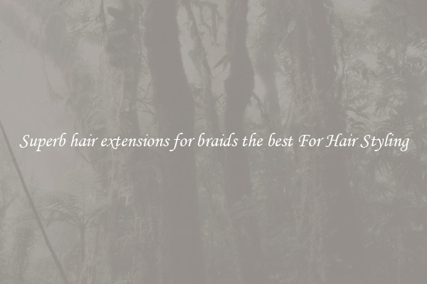 Superb hair extensions for braids the best For Hair Styling