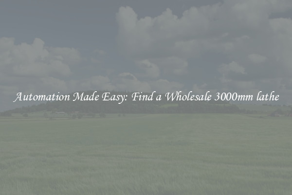  Automation Made Easy: Find a Wholesale 3000mm lathe 