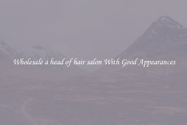 Wholesale a head of hair salon With Good Appearances