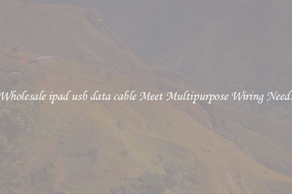 Wholesale ipad usb data cable Meet Multipurpose Wiring Needs