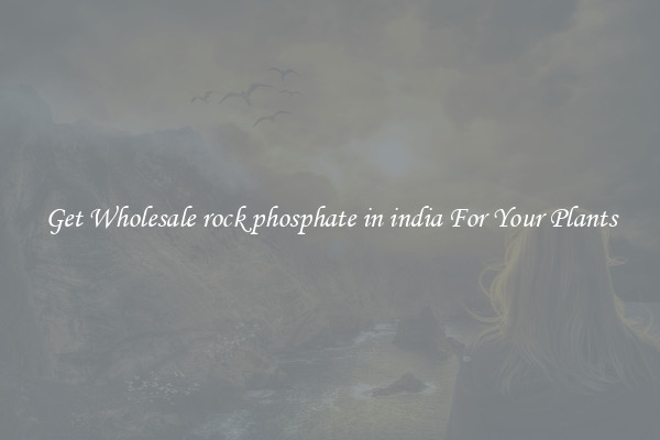 Get Wholesale rock phosphate in india For Your Plants