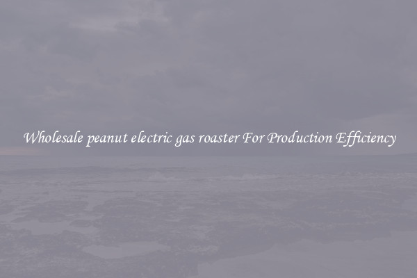 Wholesale peanut electric gas roaster For Production Efficiency