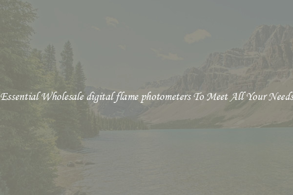 Essential Wholesale digital flame photometers To Meet All Your Needs