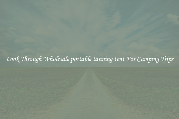 Look Through Wholesale portable tanning tent For Camping Trips
