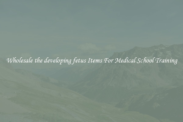Wholesale the developing fetus Items For Medical School Training