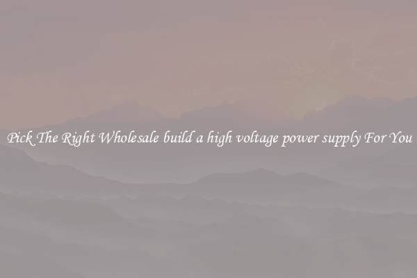 Pick The Right Wholesale build a high voltage power supply For You