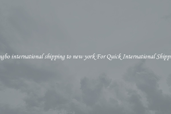 ningbo international shipping to new york For Quick International Shipping
