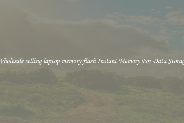 Wholesale selling laptop memory flash Instant Memory For Data Storage