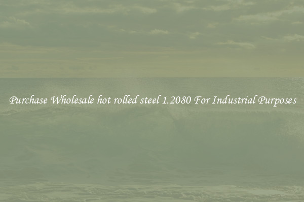 Purchase Wholesale hot rolled steel 1.2080 For Industrial Purposes