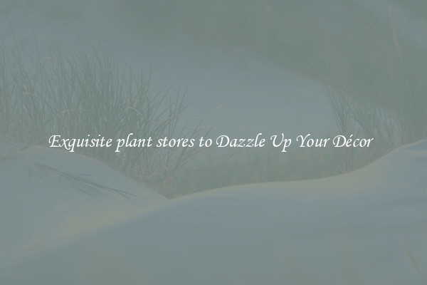 Exquisite plant stores to Dazzle Up Your Décor  
