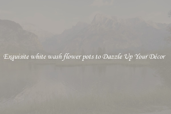 Exquisite white wash flower pots to Dazzle Up Your Décor  