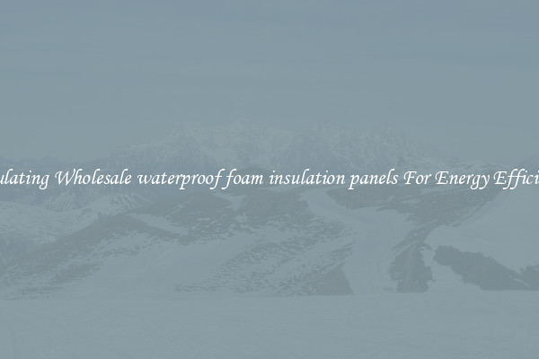 Insulating Wholesale waterproof foam insulation panels For Energy Efficiency