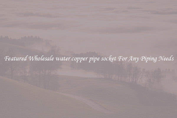 Featured Wholesale water copper pipe socket For Any Piping Needs